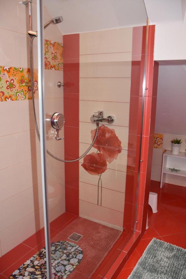 Janine Garden Hotel Braşov Eksteriør billede