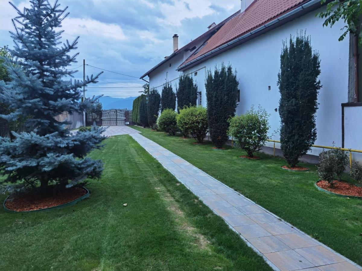 Janine Garden Hotel Braşov Eksteriør billede